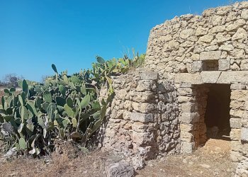 Foto 3 - Terreno edificabile Alliste - foto 3