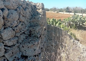 Foto 9 - Terreno edificabile Alliste - foto 9