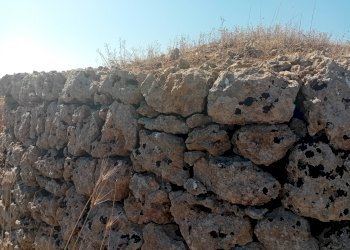 Foto 11 - Terreno edificabile Alliste - foto 11