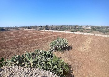 Foto 14 - Terreno edificabile Alliste - foto 14