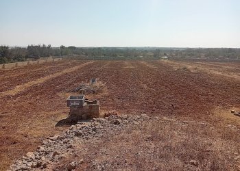 Foto 15 - Terreno edificabile Alliste - foto 15