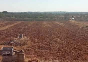 Foto 16 - Terreno edificabile Alliste - foto 16