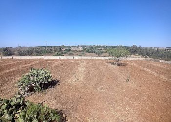 Foto 17 - Terreno edificabile Alliste - foto 17