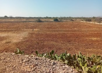 Foto 18 - Terreno edificabile Alliste - foto 18