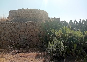 Foto 21 - Terreno edificabile Alliste - foto 21