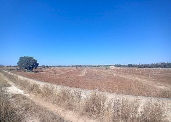 Foto 23 - Terreno edificabile Alliste - foto 23