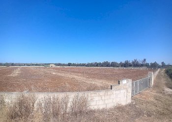 Foto 24 - Terreno edificabile Alliste - foto 24