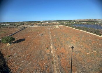 Foto 26 - Terreno edificabile Alliste - foto 26