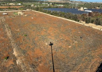 Foto 27 - Terreno edificabile Alliste - foto 27