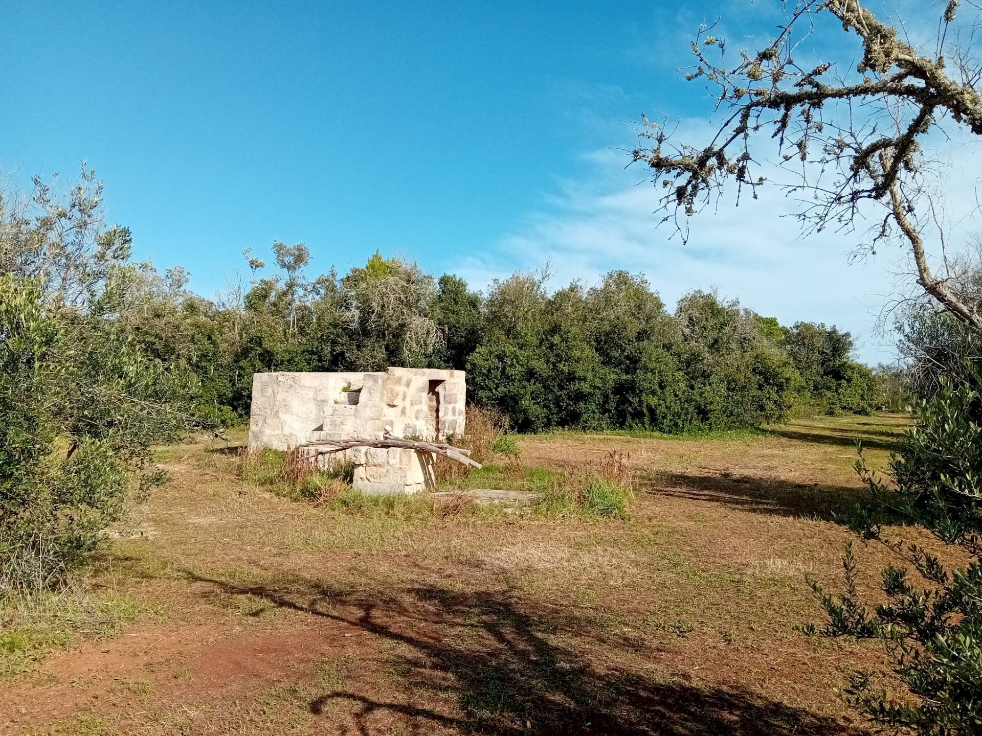 Foto 2 - Terreno agricolo Ortelle - foto 2