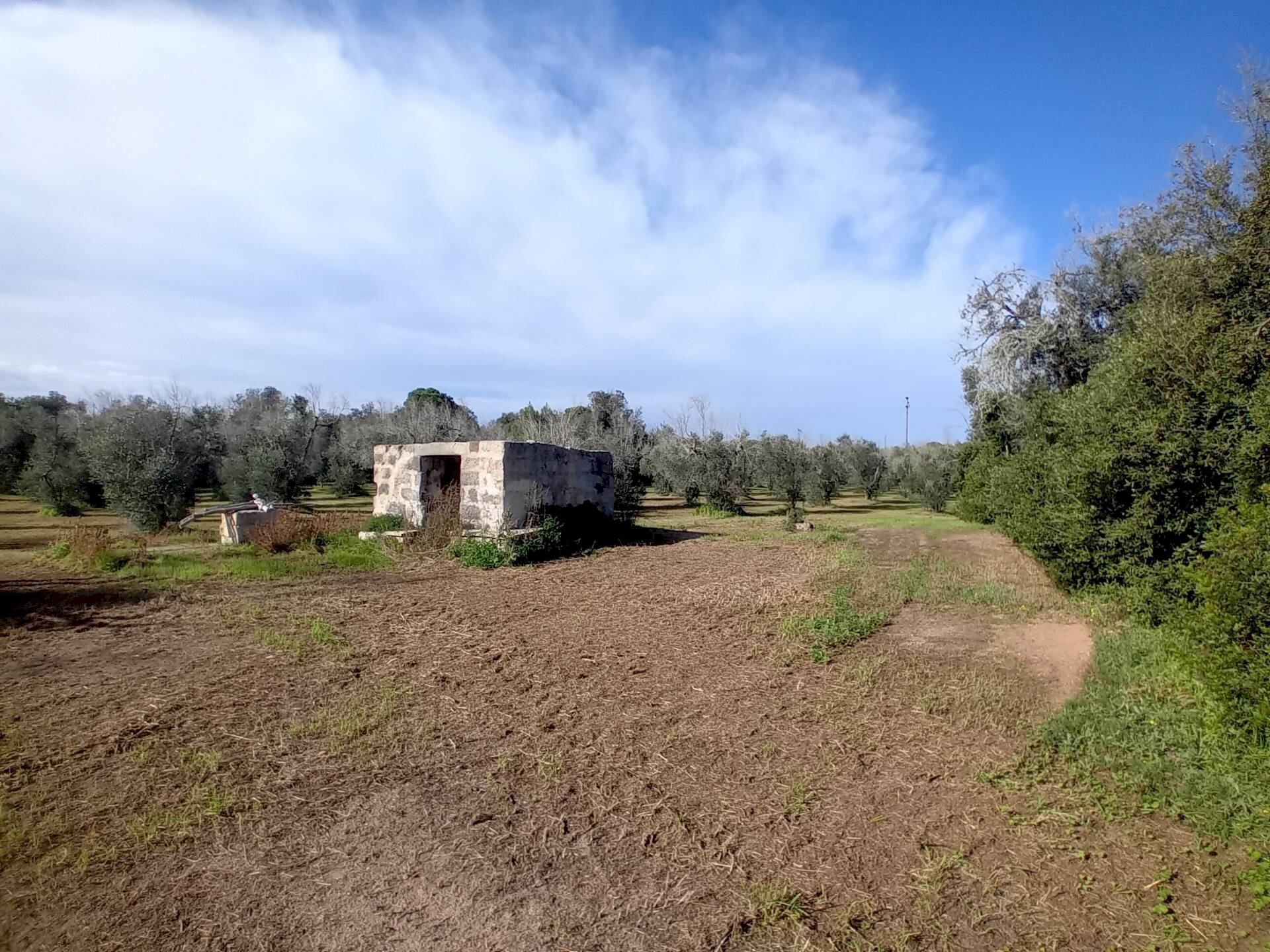 Foto 3 - Terreno agricolo Ortelle - foto 3