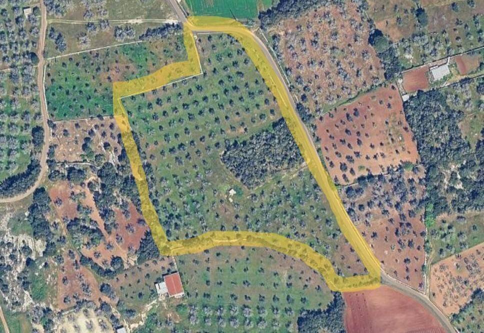 Foto 14 - Terreno agricolo Ortelle - planimetria 1