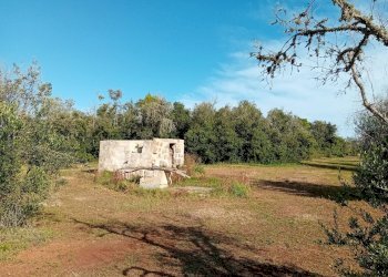 Foto 2 - Terreno agricolo Ortelle - foto 2