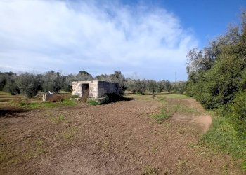 Foto 3 - Terreno agricolo Ortelle - foto 3