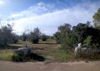 Foto 4 - Terreno agricolo Ortelle - foto 4