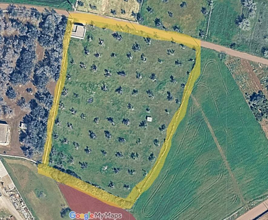 Foto 17 - Terreno agricolo Giuggianello - planimetria 1