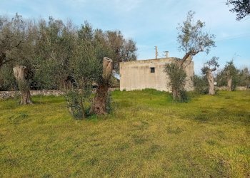 Foto 2 - Terreno agricolo Giuggianello - foto 2