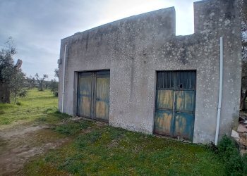 Foto 4 - Terreno agricolo Giuggianello - foto 4