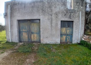 Foto 5 - Terreno agricolo Giuggianello - foto 5