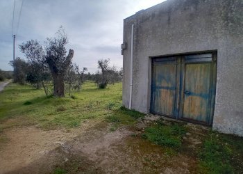 Foto 6 - Terreno agricolo Giuggianello - foto 6