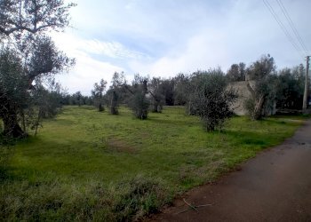 Foto 7 - Terreno agricolo Giuggianello - foto 7