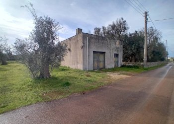 Foto 8 - Terreno agricolo Giuggianello - foto 8