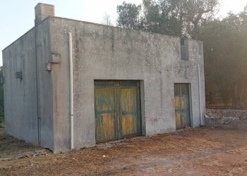 Foto 14 - Terreno agricolo Giuggianello - foto 14