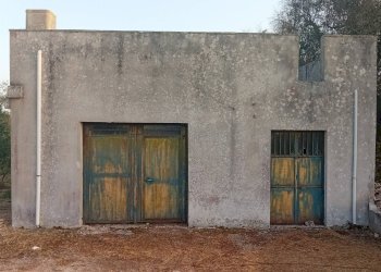 Foto 15 - Terreno agricolo Giuggianello - foto 15