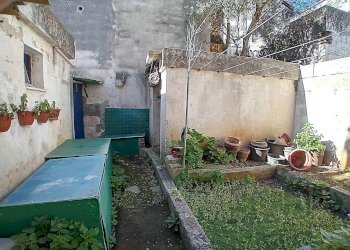 Foto 14 - Casa indipendente Poggiardo - foto 14