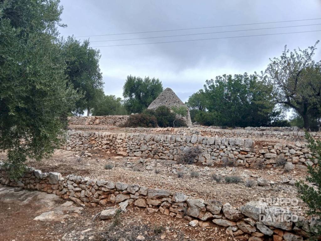 Terreno - Agricultural land strada Comunale Giardinelli, Fasano - photo 2