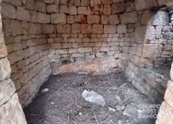 Altro - Terreno agricolo strada Comunale Giardinelli, Fasano - foto 3