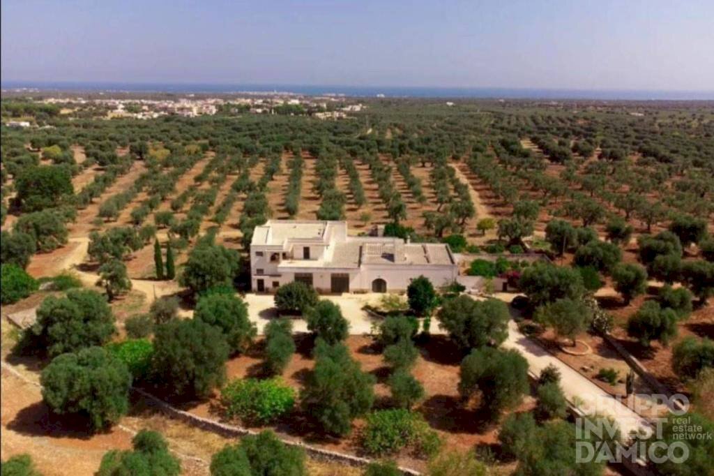 Vista - Rustic contrada Case Sparse Pezze, Fasano - photo 1