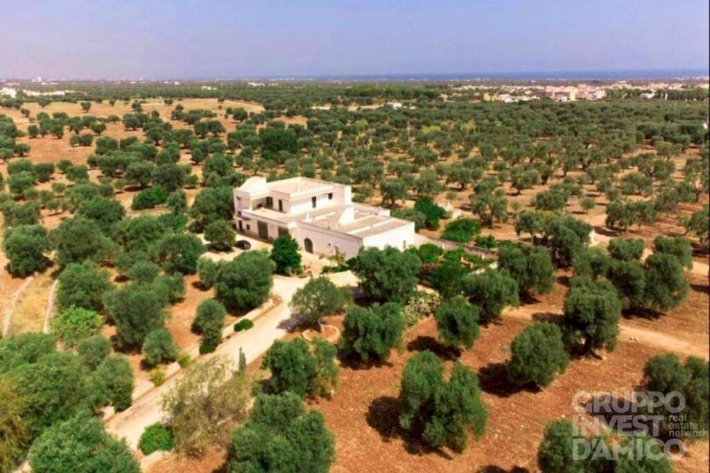 Vista - Rustic contrada Case Sparse Pezze, Fasano - photo 2