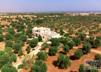 Vista - Rustico contrada Case Sparse Pezze, Fasano - foto 2