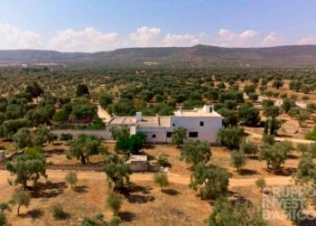 Vista - Rustico contrada Case Sparse Pezze, Fasano - foto 3