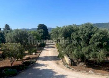 Terreno - Rustico contrada Case Sparse Pezze, Fasano - foto 17