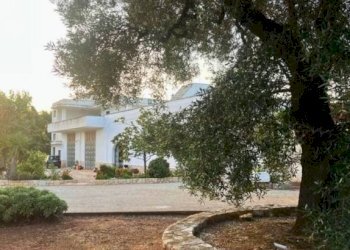 Giardino - Rustico contrada Case Sparse Pezze, Fasano - foto 19