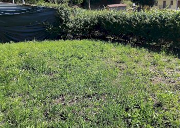 Appartamento Tresana - foto 10