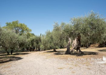 Villa Unifamiliare Passignano sul Trasimeno - foto 15