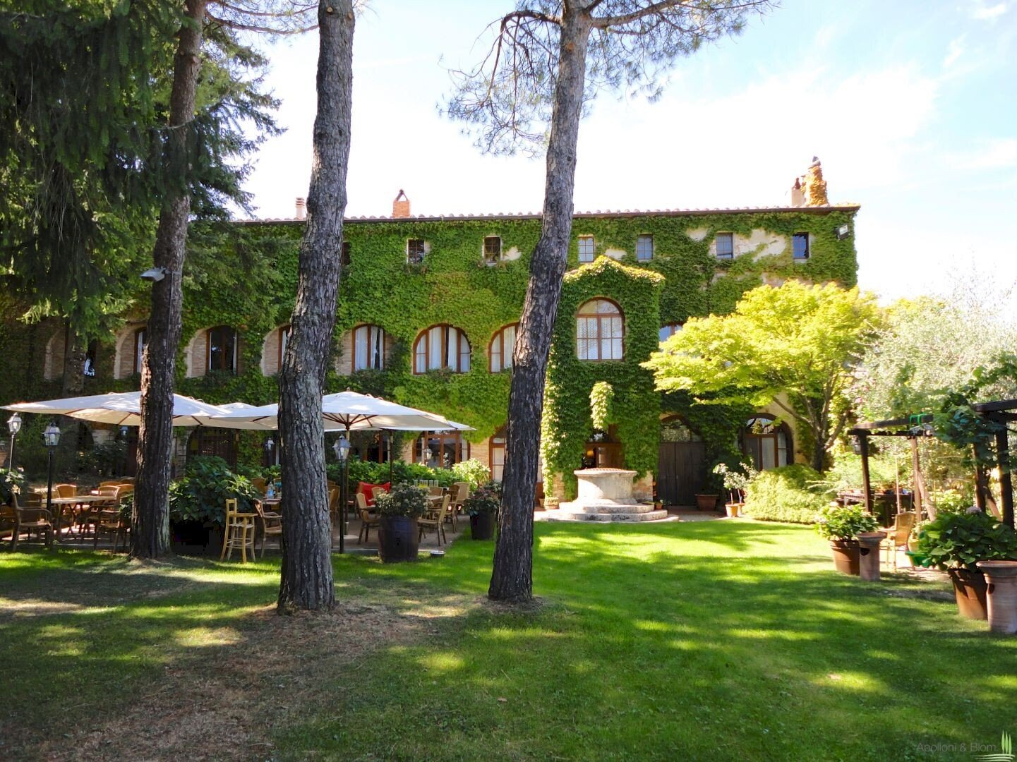 Villa Unifamiliare Sarteano - foto 2