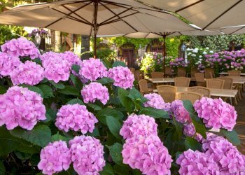 Villa Unifamiliare Sarteano - foto 14