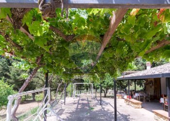 Giardino - Rustico contrada leano, Piazza Armerina - foto 6