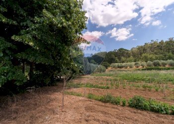 Giardino - Rustico contrada leano, Piazza Armerina - foto 30
