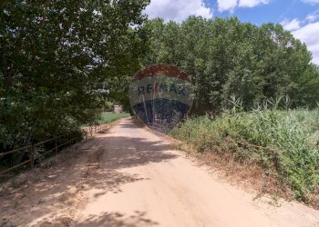 Giardino - Rustico contrada leano, Piazza Armerina - foto 67