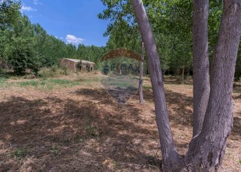 Giardino - Rustico contrada leano, Piazza Armerina - foto 68