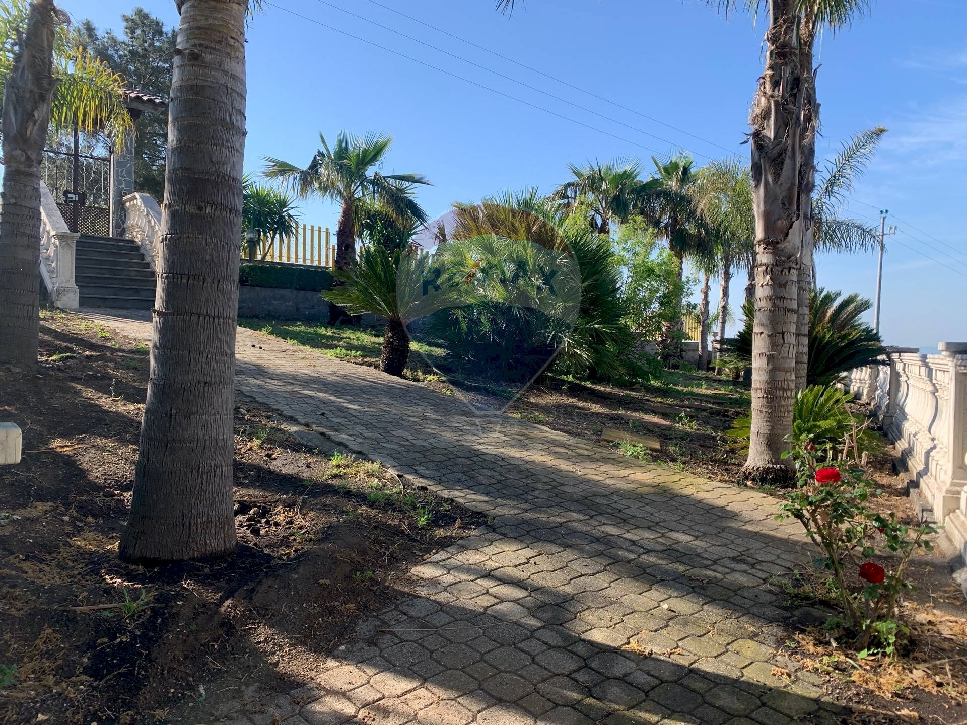 Giardino - Villa a Schiera Via Calatafimi, Belpasso - foto 1