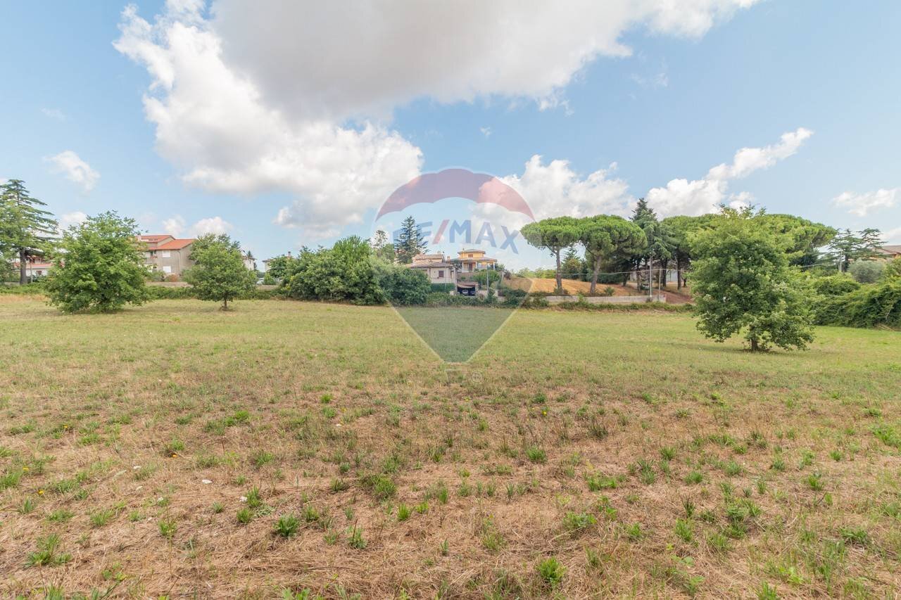 Giardino - Terreno edificabile Località San Pietro
 
snc, Ischia di Castro - foto 1