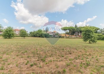 Giardino - Terreno edificabile Località San Pietro
snc, Ischia di Castro - foto 1