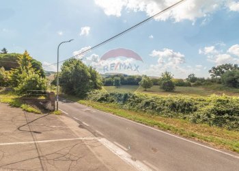Giardino - Terreno edificabile Località San Pietro
snc, Ischia di Castro - foto 5