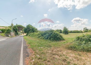 Giardino - Terreno edificabile Località San Pietro
snc, Ischia di Castro - foto 6